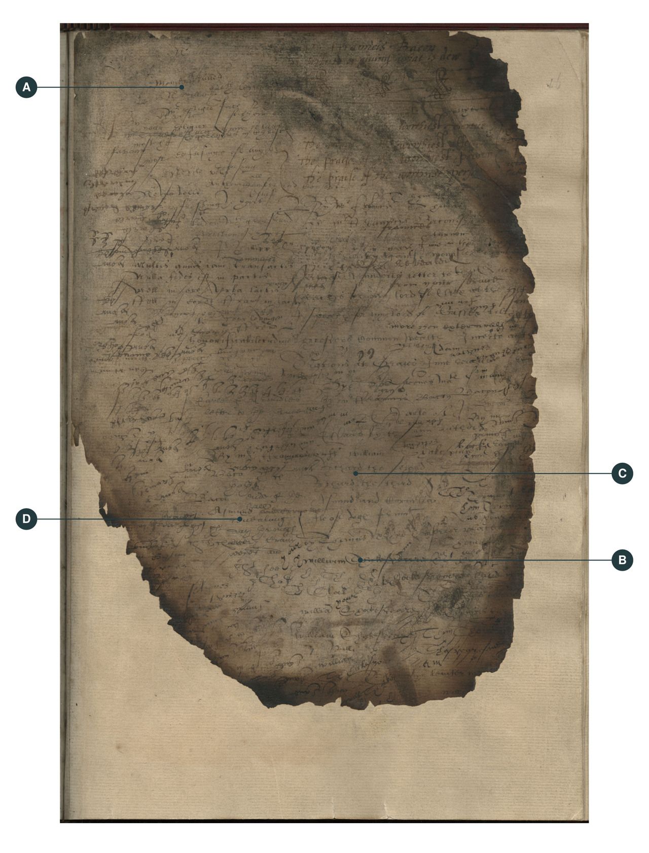 Reading guide to the densely written recto, DNP MS 525, f.46r. A: Neville names and motto; B: one cluster of Shakespeare names; C: the Richard II and Richard III entries; D: the Lucrece fragment. Margin letters are editorial locators; the complete photograph is retained. Photograph: Collection of the Duke of Northumberland, Alnwick Castle, via Shakespeare Documented, Folger Shakespeare Library.